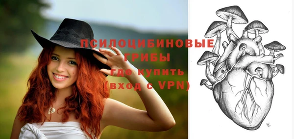 хмурый Абинск