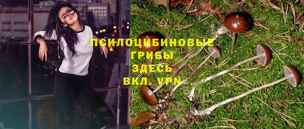 хмурый Абинск