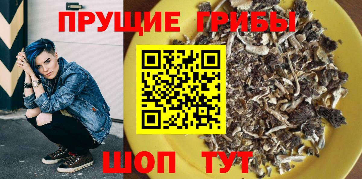 Галлюциногенные грибы GOLDEN TEACHER  Галлюциногенные грибы Cubensis  Ипатово  Вход с VPN 